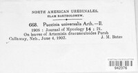 Puccinia universalis image